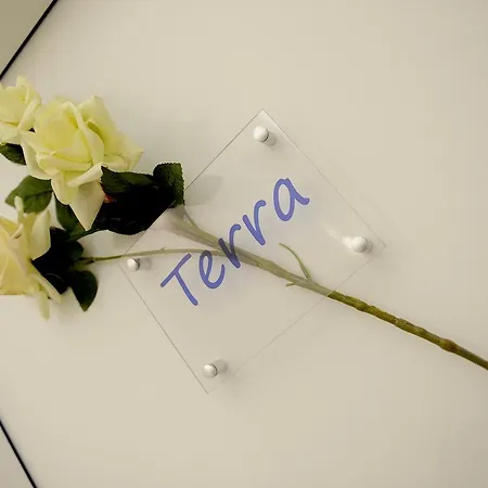 招待所 简单客房旅馆 罗马