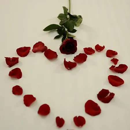 招待所 简单客房旅馆 罗马