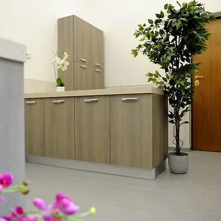 简单客房旅馆 招待所 4*